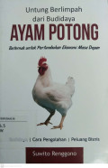 untung berlimpah dari budidaya ayam potong